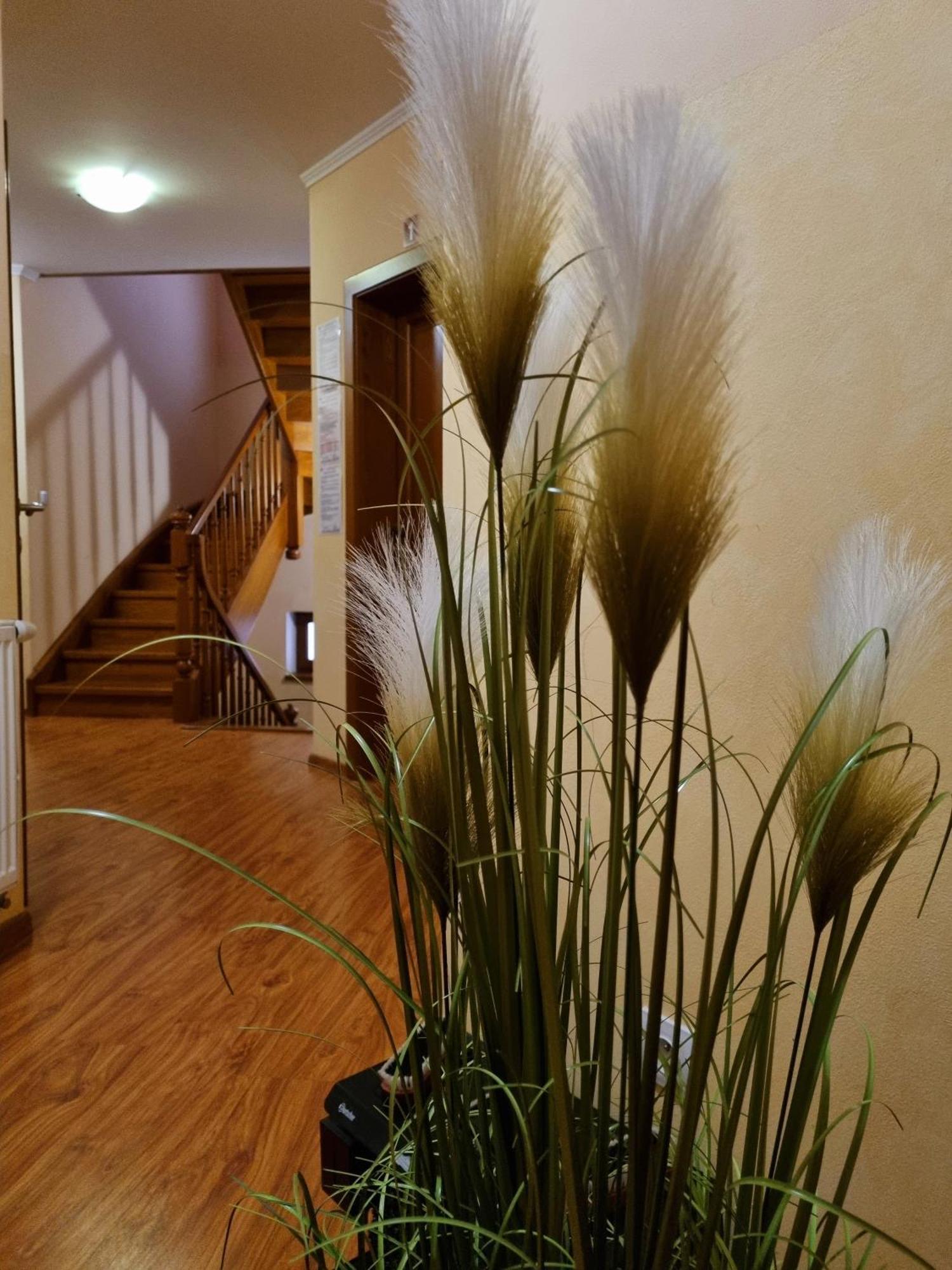 B&B Penzion Magura Бардеёв Экстерьер фото
